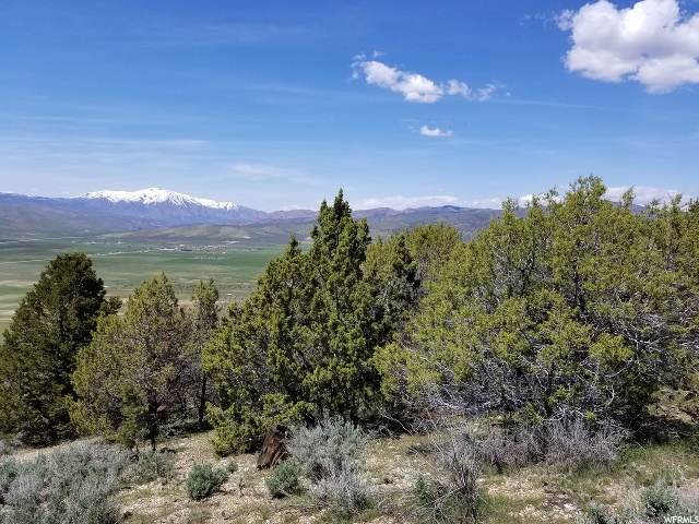 #1, Indianola, UT 84629 — photo 6