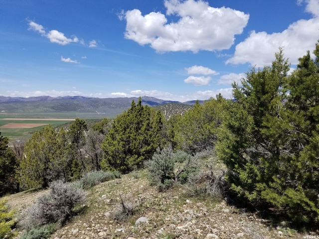 #1, Indianola, UT 84629 — photo 10
