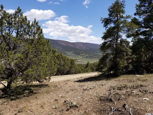#1, Indianola, UT 84629 — photo 8