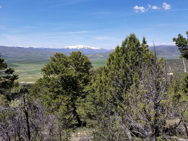 #1, Indianola, UT 84629 — photo 11