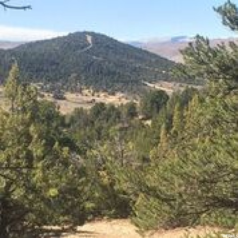 #4, Indianola, UT 84629 — photo 11