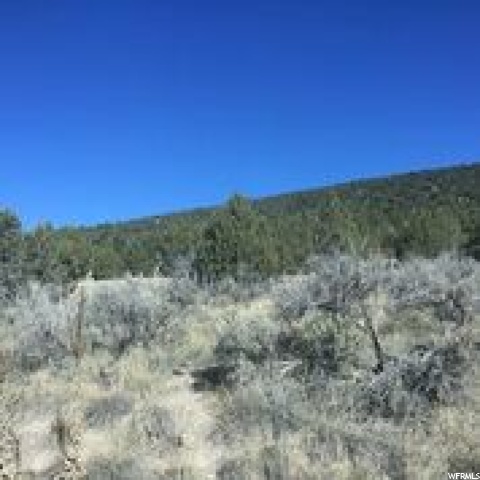 #4, Indianola, UT 84629 — photo 9