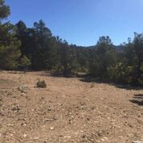 #4, Indianola, UT 84629 — photo 12