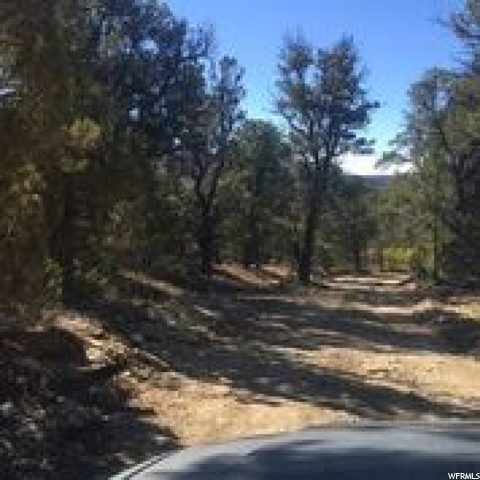 #4, Indianola, UT 84629 — photo 4