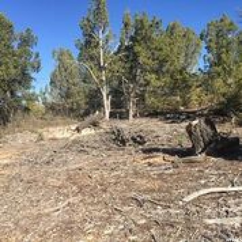 #4, Indianola, UT 84629 — photo 10