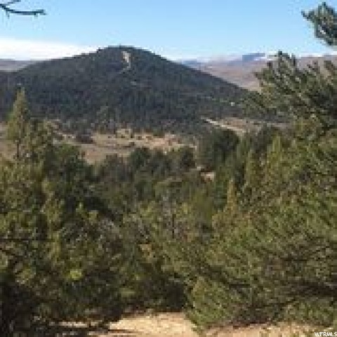 #4, Indianola, UT 84629 — photo 8