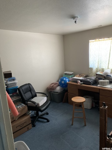 14320 N 6250 E, Spring City, UT 84662 — photo 10