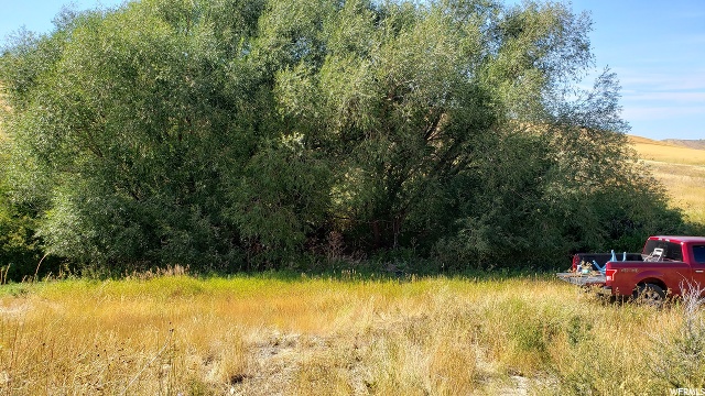 13655 N Highlander Cir #3, Beaverdam, UT 84306 — photo 8