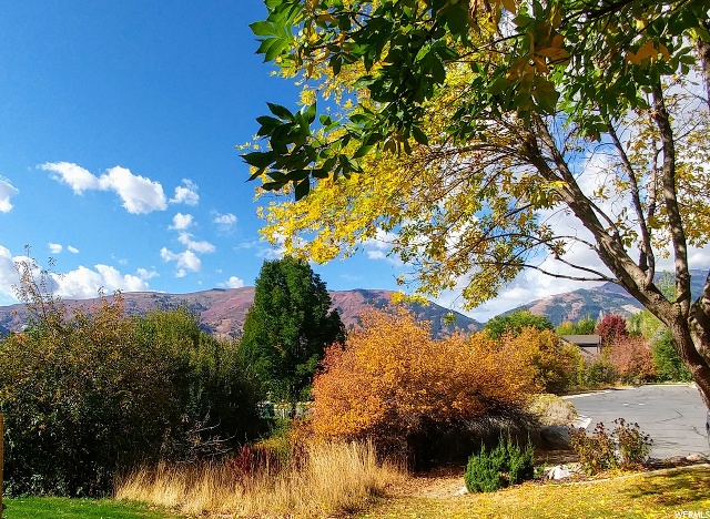 3932 N 4800 E #22, Eden, UT 84310 — photo 4