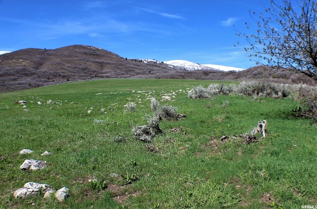 1700 N 5100 E, Eden, UT 84310 — photo 6