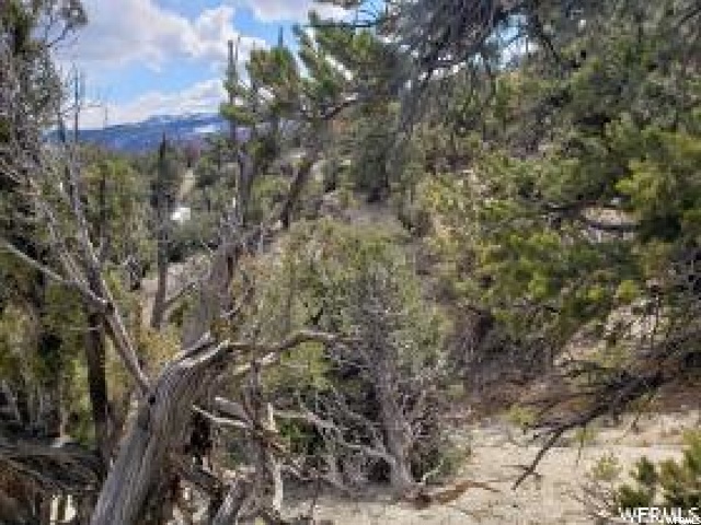#51, Fruitland, UT 84027 — photo 3
