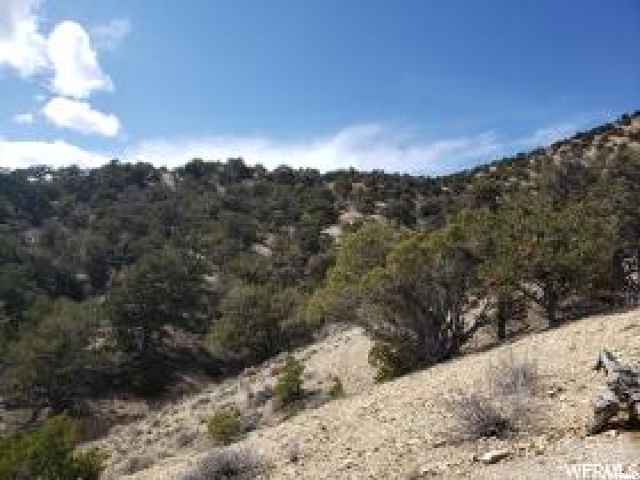 #51, Fruitland, UT 84027 — photo 4