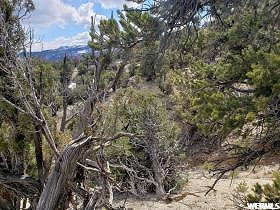 #13, Fruitland, UT 84027 — photo 8