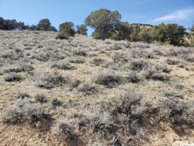 #13, Fruitland, UT 84027 — photo 2