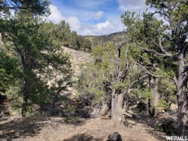 #13, Fruitland, UT 84027 — photo 4