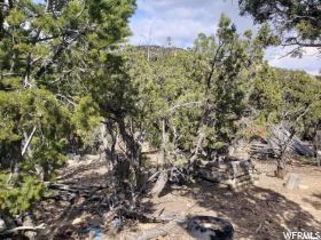 #13, Fruitland, UT 84027 — photo 5