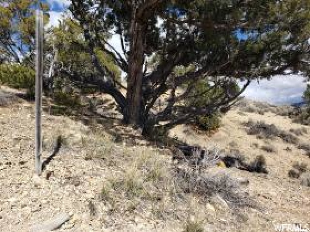 #13, Fruitland, UT 84027 — photo 6