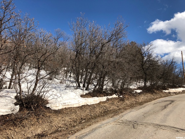 #24, Eden, UT 84310 — photo 4