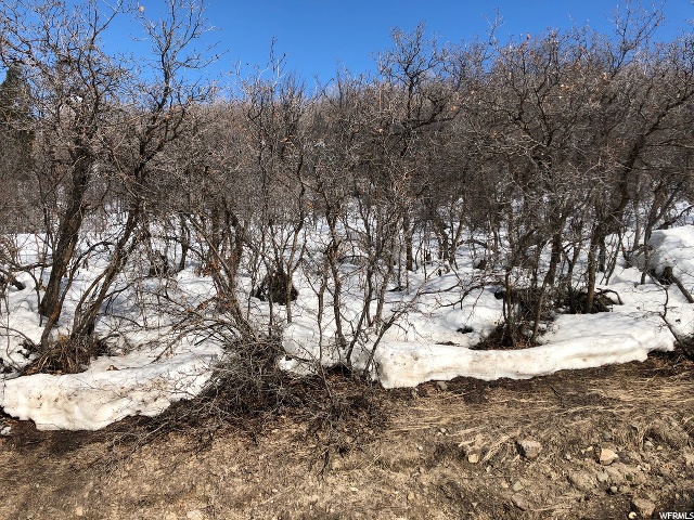 #24, Eden, UT 84310 — photo 2