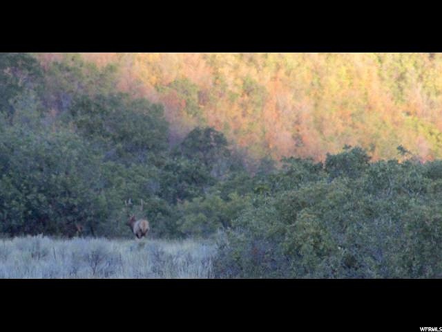 Canyon Road, Springville, UT 84663 — photo 11