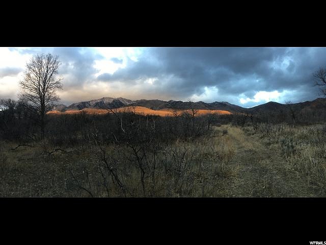 Canyon Road, Springville, UT 84663 — photo 4