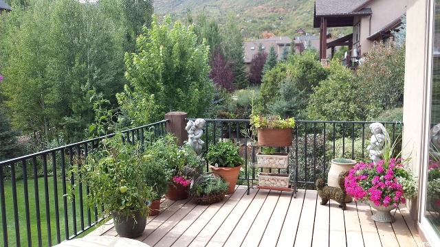 1159 W Lime Rd, Midway, UT 84049 — photo 9