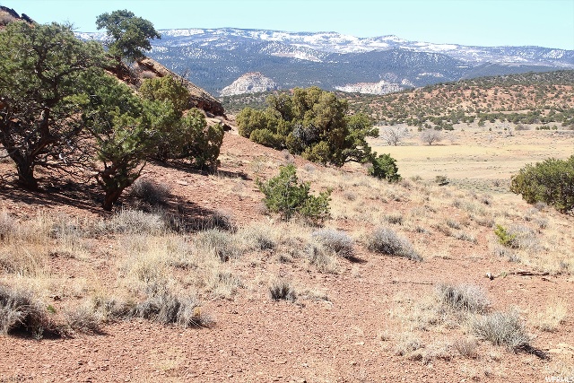 800 S River View Dr #1, Torrey, UT 84775 — photo 3