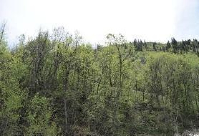 1012 N Willow Ln #142, Midway, UT 84049 — photo 7
