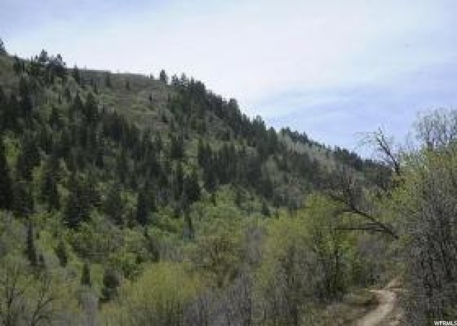 1012 N Willow Ln #142, Midway, UT 84049 — photo 4