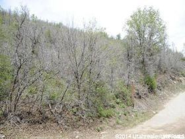 1012 N Willow Ln #142, Midway, UT 84049 — photo 10