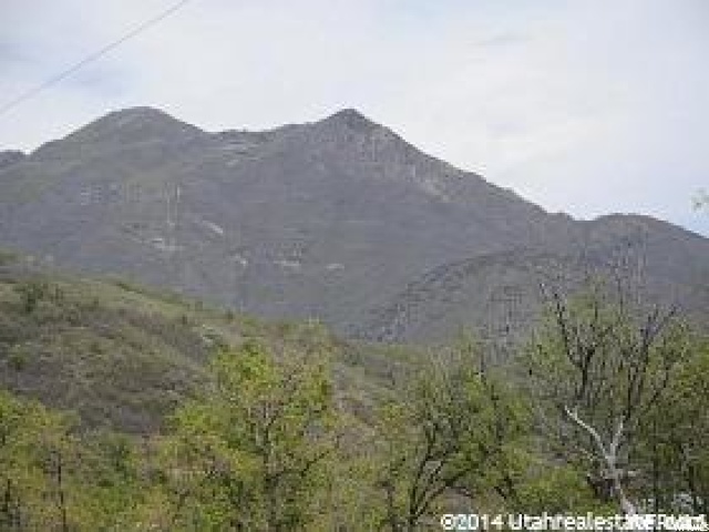 1012 N Willow Ln #142, Midway, UT 84049 — photo 11