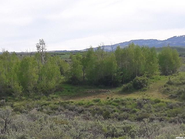 S Ant Flat Rd #0035, Hyrum, UT 84319 — photo 6
