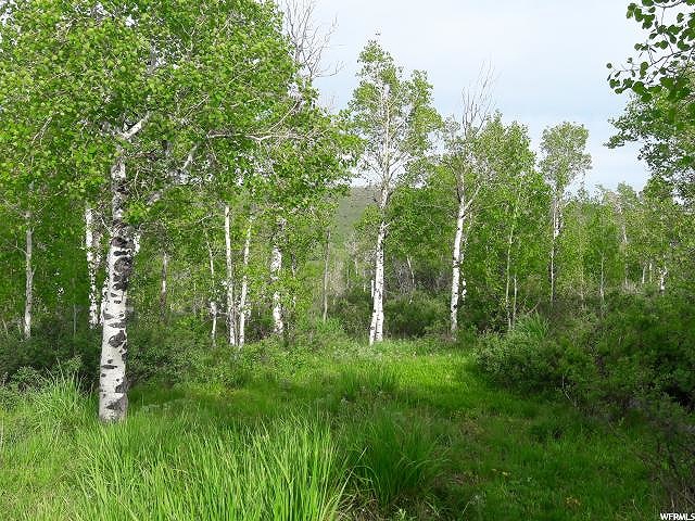 Ant Flat Rd #8, Hyrum, UT 84319 — photo 2
