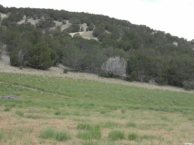 20100 N 7500 E, Mt Pleasant, UT 84647 — photo 7
