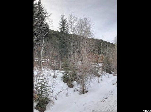 6 Weber Wild E #6, Oakley, UT 84055 — photo 3