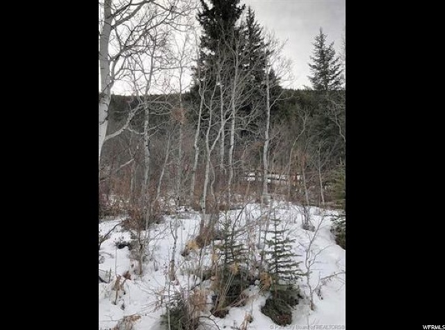 6 Weber Wild E #6, Oakley, UT 84055 — photo 4