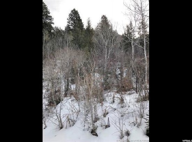 6 Weber Wild E #6, Oakley, UT 84055 — photo 5