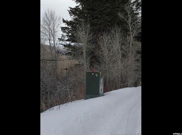 6 Weber Wild E #6, Oakley, UT 84055 — photo 6