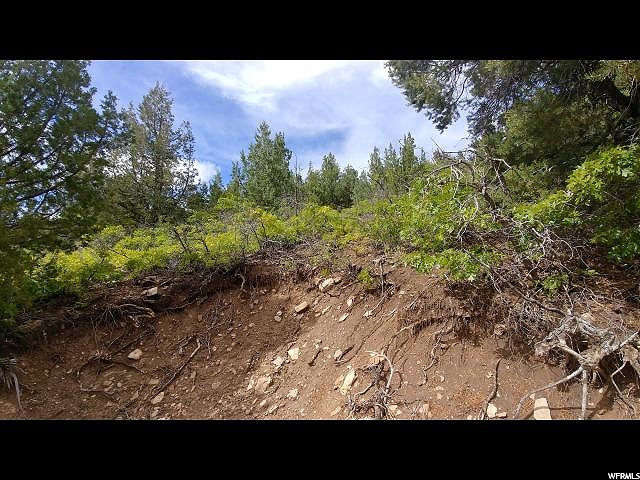 2 Vista #2, Mt Pleasant, UT 84647 — photo 4