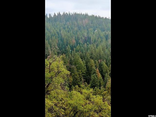 2 Vista #2, Mt Pleasant, UT 84647 — photo 6