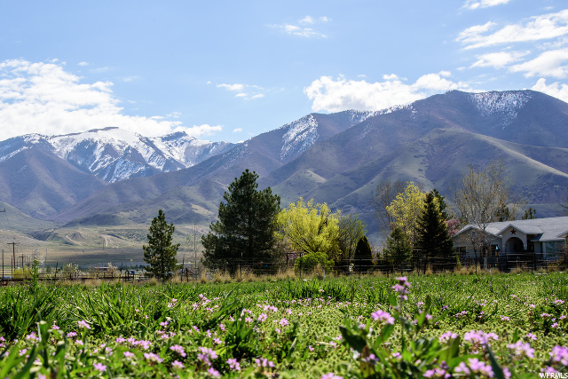 926 E Bates Canyon Rd, Erda, UT 84074 — photo 4