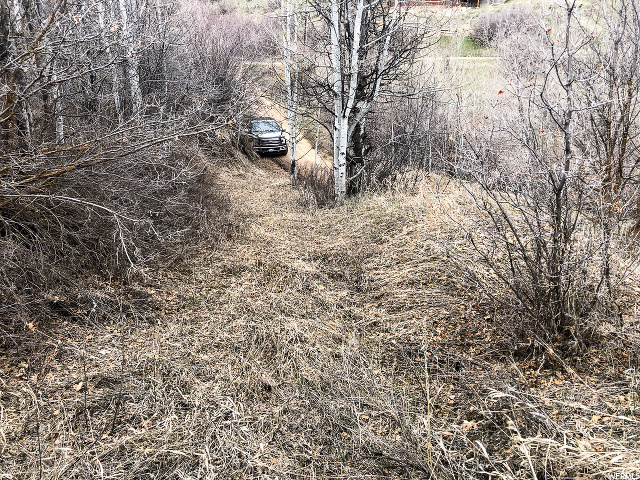 Midway, UT 84049 — photo 7