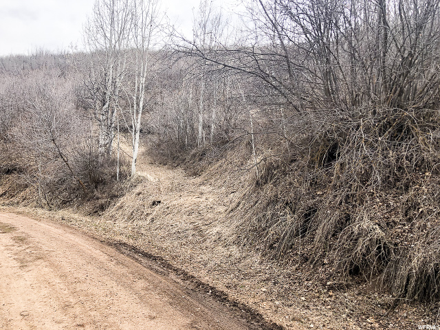 Midway, UT 84049 — photo 6