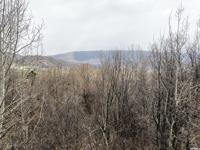 Midway, UT 84049 — photo 5