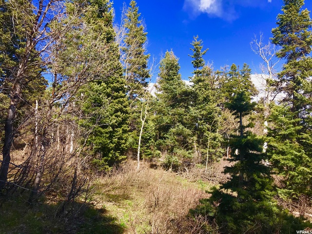 1113 Maple Pl #I-30, Wanship, UT 84017 — photo 7