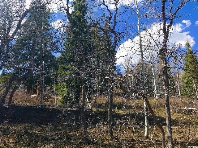 1113 Maple Pl #I-30, Wanship, UT 84017 — photo 8