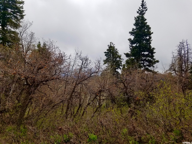 1113 Maple Pl #I-30, Wanship, UT 84017 — photo 12