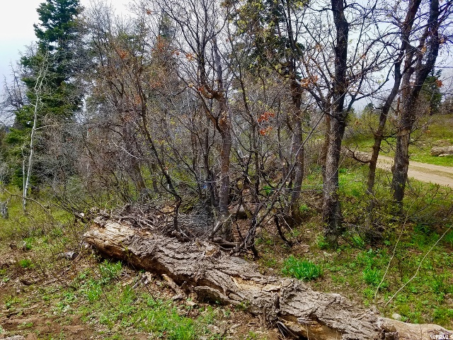 1113 Maple Pl #I-30, Wanship, UT 84017 — photo 10