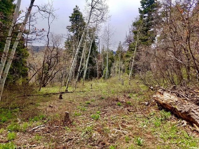 1113 Maple Pl #I-30, Wanship, UT 84017 — photo 9