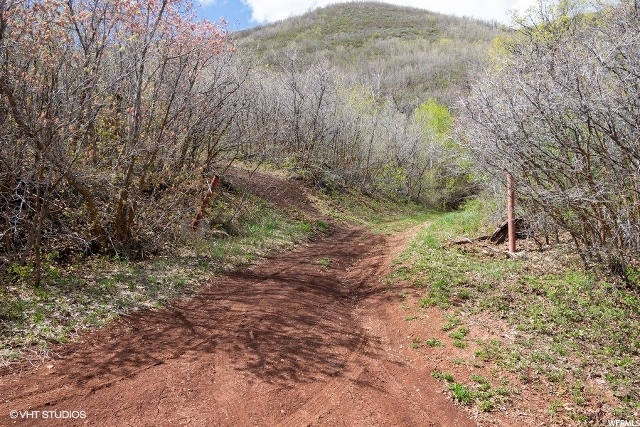 160 Switzer #160, Midway, UT 84049 — photo 4